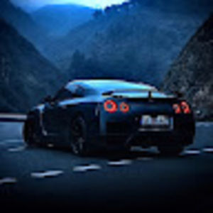 Meet your Posher, Light dark wolf